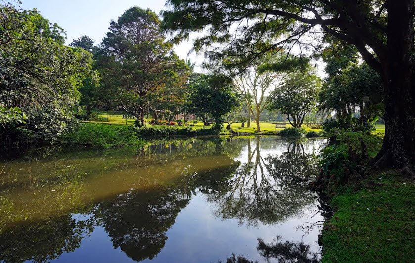Durban Botanic Gardens, South Africa